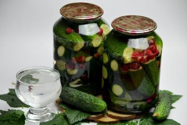 concombres au basilic et aux baies de josta