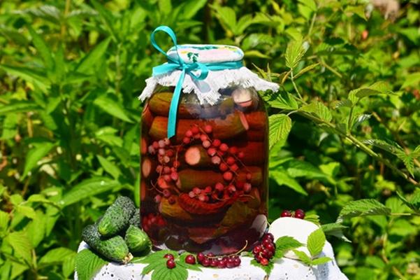 แตงกวากับโรวันเบอร์รี่