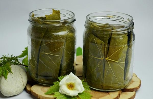 ใบองุ่นดอง