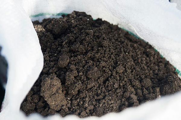 ดินในหมี