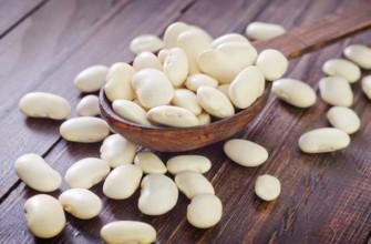 ถั่วลิมาบนโต๊ะ