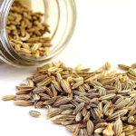 เมล็ดผักชีฝรั่งในขวด