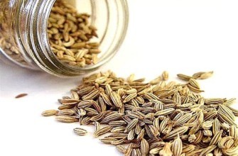 เมล็ดผักชีฝรั่งในขวด