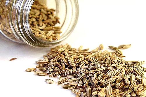 graines de persil dans un bocal