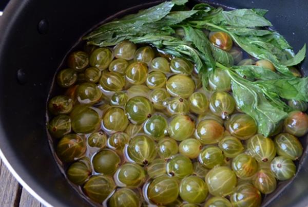 กระบวนการปรุงลูกเกดกับสะระแหน่