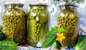 วิธีเตรียมแตงกวาดองกับถั่วลันเตาเขียวสำหรับฤดูหนาวและอายุการเก็บรักษาของผลไม้ดอง