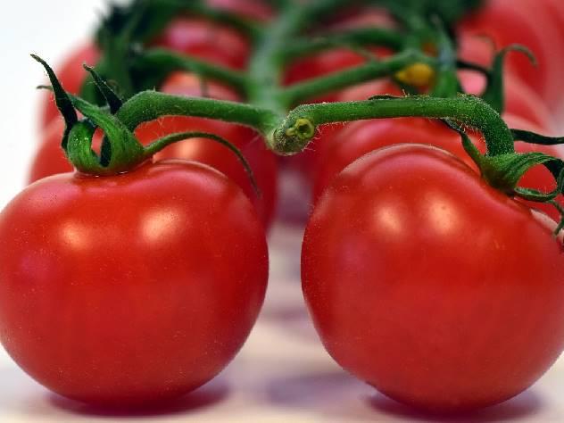 มะเขือเทศสุก