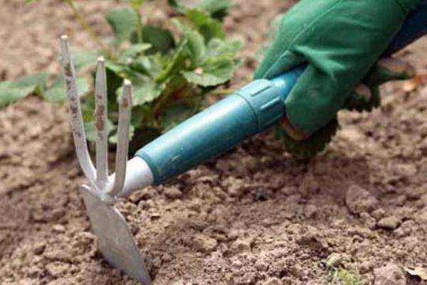 การคลายดิน