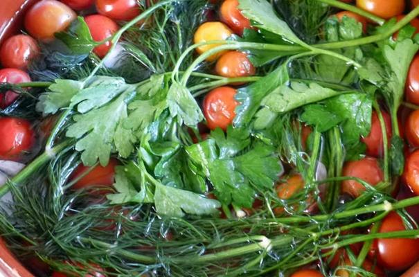 มะเขือเทศเชอร์รี่กับผักชีลาว