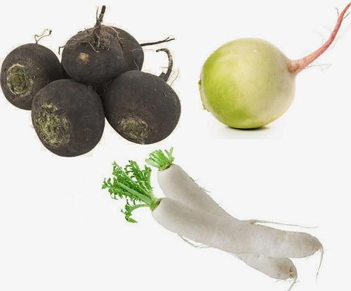 หัวไชเท้าหลายประเภท