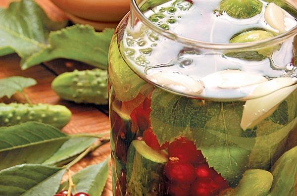 แตงกวากับลูกเกดสำหรับฤดูหนาว