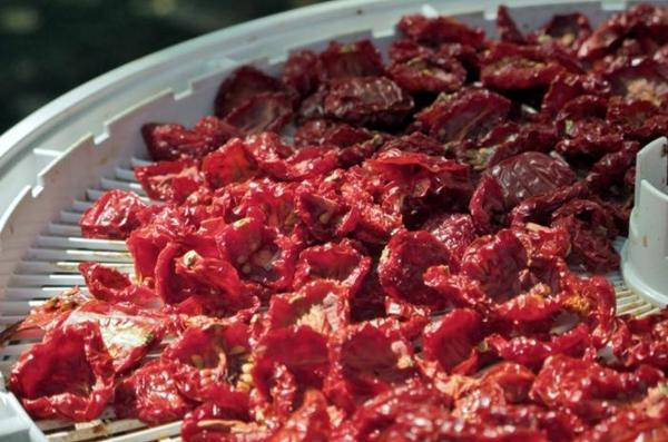 tomates séchées au soleil sur un séchoir