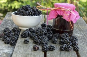 เยลลี่แบล็กเบอร์รี่ในขวด