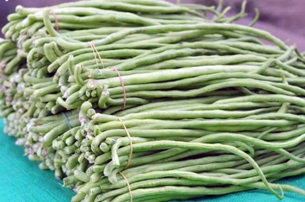 ลักษณะของถั่วพุ่ม