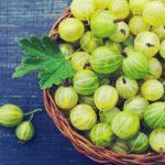 ลูกเกดในชาม