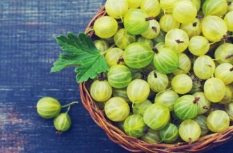 ลูกเกดในชาม