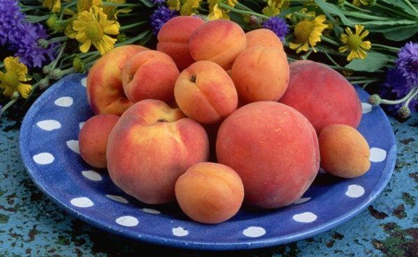 abricot et pêche sur une assiette