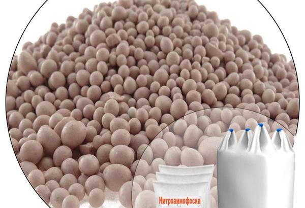 ไนโตรแอมโมโฟสกา