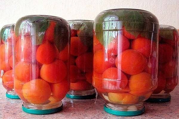 มะเขือเทศสไตล์บัลแกเรียผสมสมุนไพร