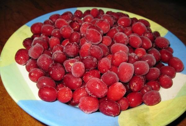 cornouiller congelé dans une assiette