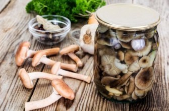 เห็ดดองน้ำผึ้งในขวด