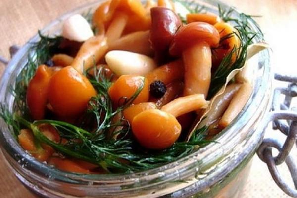 champignons marinés au miel et à l'aneth