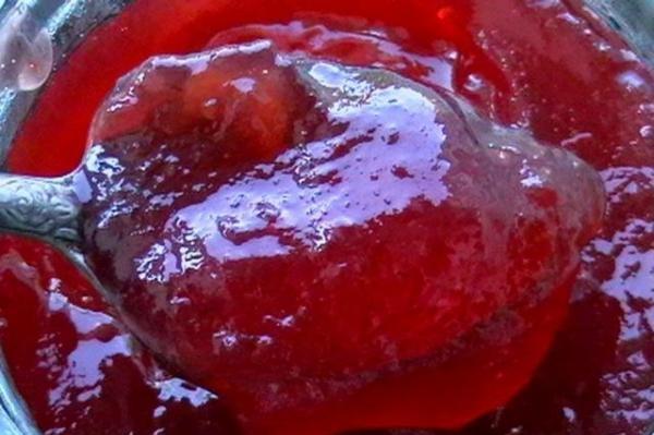 ลักษณะของแยมมะยมผสมเพกติน