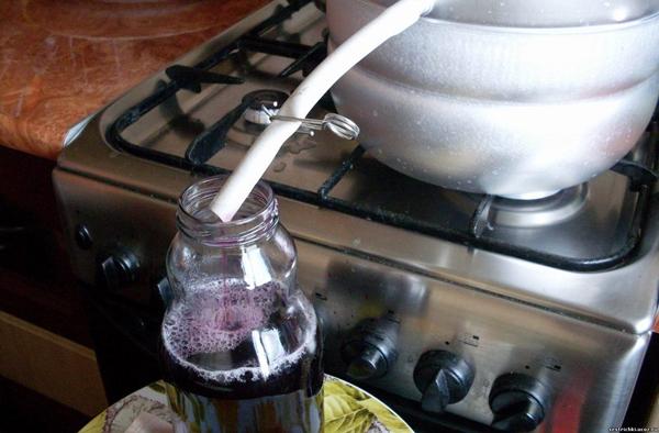 น้ำพลัมโดยใช้หม้อคั้นน้ำผลไม้