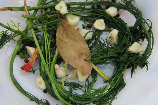 กระเทียมและสมุนไพรสำหรับแตงกวา