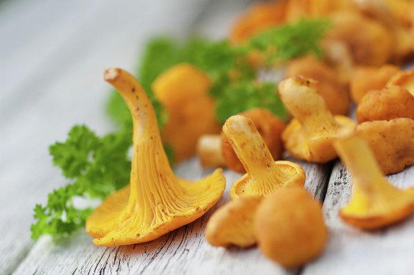 girolles