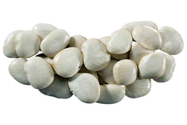 ลักษณะของถั่วลิมา