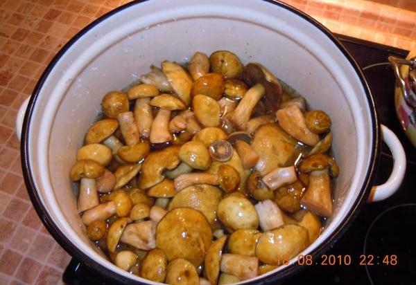 การล้างเห็ด