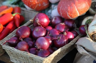 หัวหอมในตะกร้า