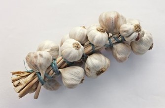 การเก็บรักษากระเทียม