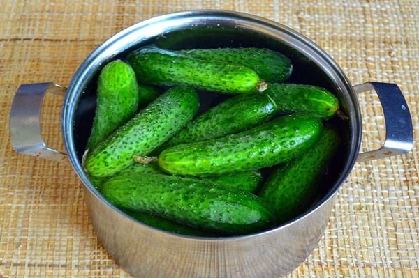 การแช่แตงกวา