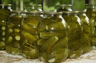 แตงกวาในขวดใหญ่