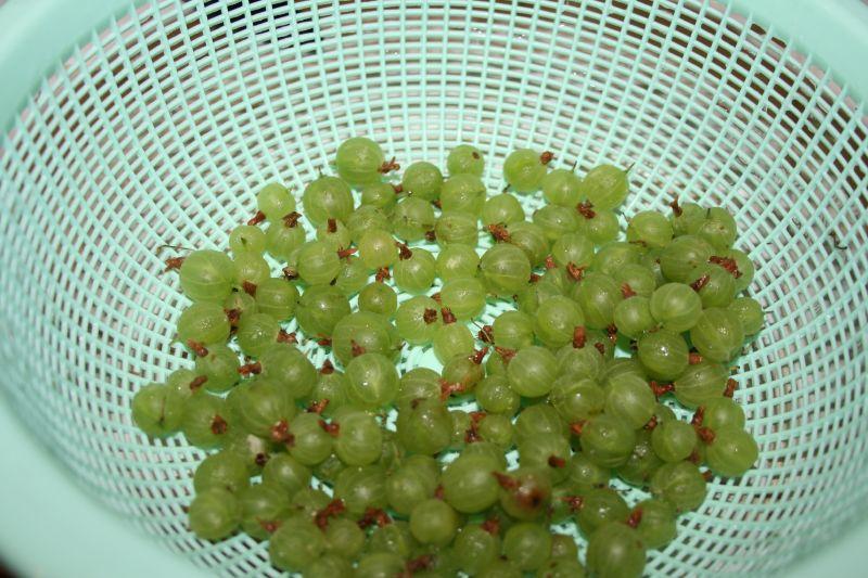 กระบวนการแปรรูปลูกเกด