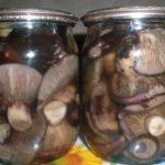 เห็ดนมดำในขวด