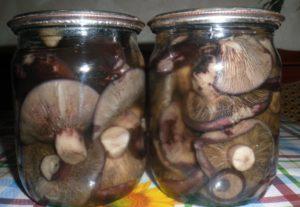 วิธีดองเห็ดหมูและเห็ดนมดำที่บ้านในขวดสำหรับฤดูหนาว: คำอธิบายและสูตรอาหารทีละขั้นตอน