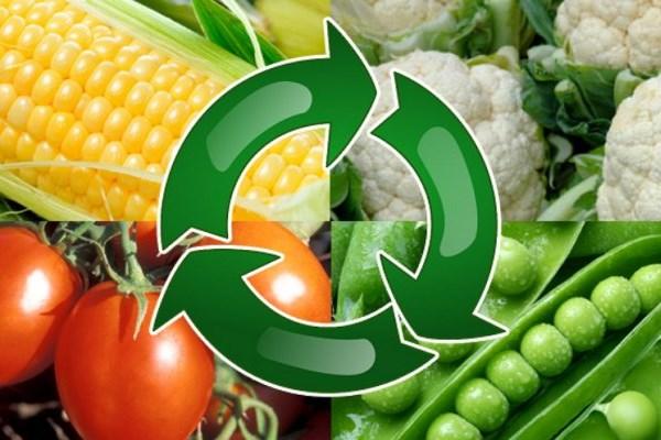 การหมุนเวียนพืชผล