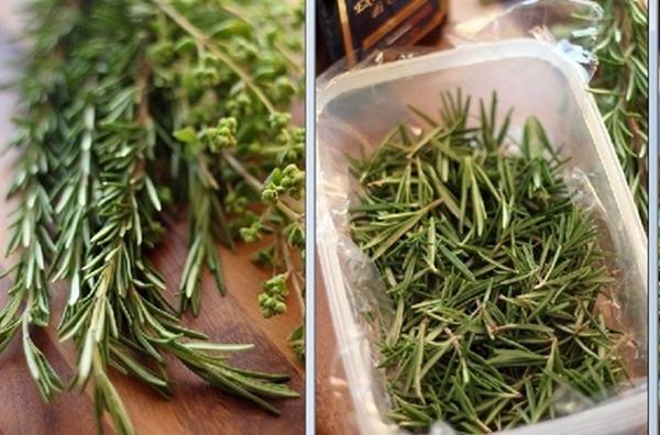 โรสแมรี่ในถาด