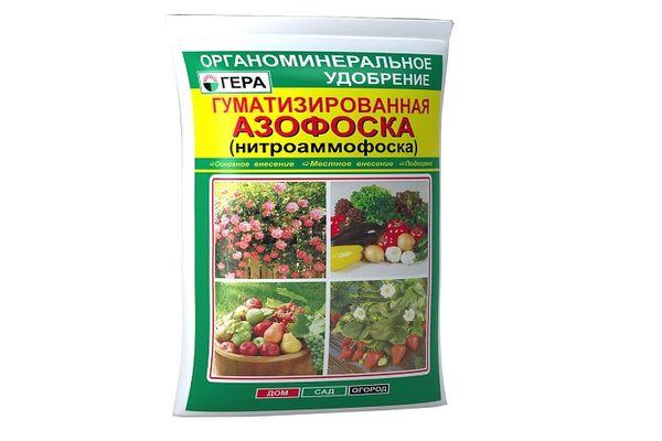 อาโซฟอสก้าในแพ็ค