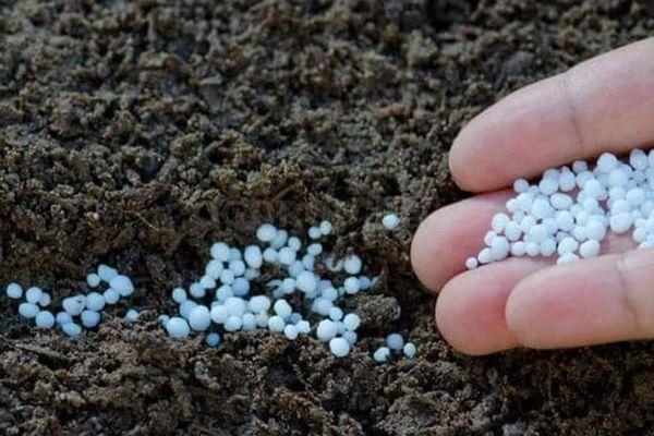 ปุ๋ยไนโตรเจน