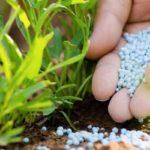 ปุ๋ยเชิงซ้อน