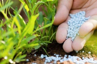 ปุ๋ยเชิงซ้อน