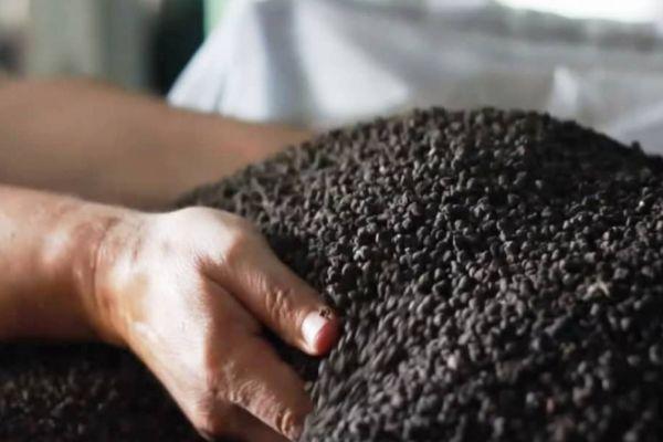 การเตรียมดิน