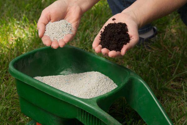 อะโซโฟสกาที่มีฮิวเมต