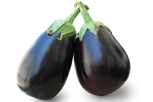 aubergines