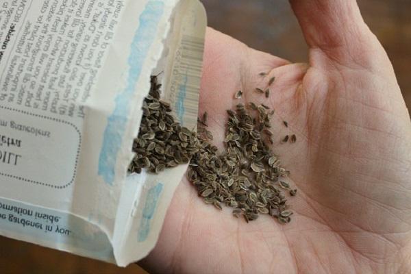 เมล็ดผักชีลาว