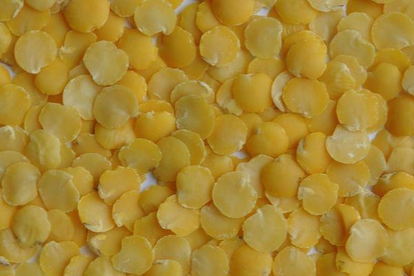 ถั่วเลนทิลสีเหลือง